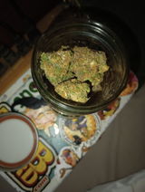 Anonymous review photo
