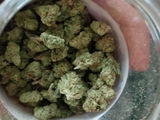Daltonposey420 review photo