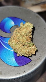 Thomas Cason review photo