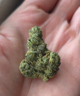 Anonymous review photo