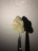 Branden Kirkland review photo