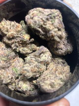 Nathanledford review photo