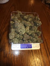 Delbert Sowers review photo