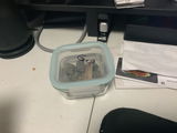 Anonymous review photo