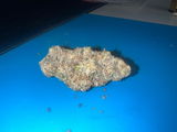 Tyler Johnsonbaugh review photo