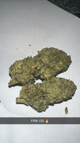 Andrew Anderson review photo