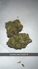 Andrew Anderson review photo