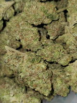 JB review photo