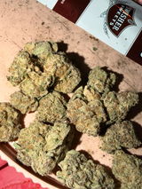 Brenden Shaputis review photo