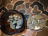 Wishnimfishn review photo