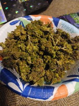Anonymous review photo
