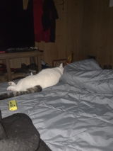 Anonymous review photo