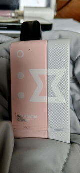 Monica review photo