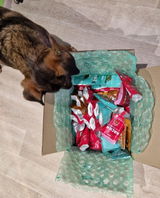 Kateřina Z. review photo
