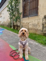 Charmaine review photo