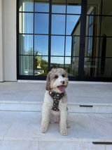 Ashlan review photo