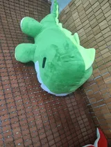 p**0 review photo