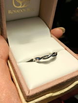 Albin review photo