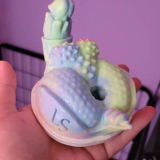 Joey review photo