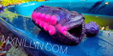Nillin L. review photo