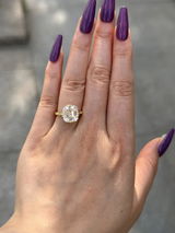Antonette review photo