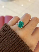 Holly review photo