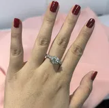 Shanies review photo