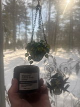 Antonina Zaucha review photo
