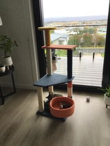 Lyndall Senft review photo