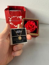 Daniela H. review photo