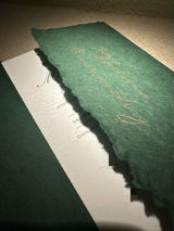 M review photo