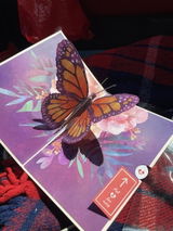 Marcelle T. review photo