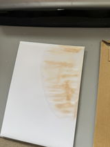 Perry B. review photo