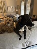 Jessica Y. review photo