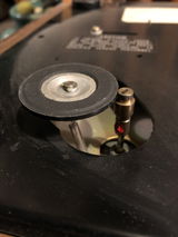 Douglas Kingsbury review photo