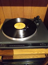 scott w. review photo