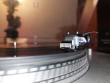 Joseph D'Angelo review photo