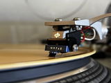 Steven Schauer review photo
