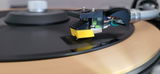 Peter Middelberg review photo