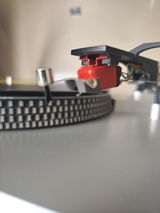 Richard K review photo