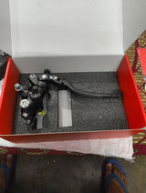 Goldi review photo