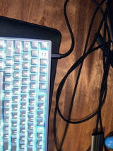 Paddy H. review photo