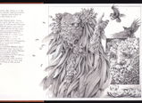 Wim review photo