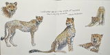 Barbara Seith review photo