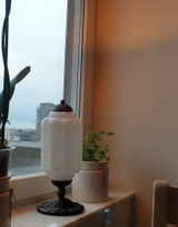 Marigold review photo