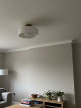 Lachlan review photo