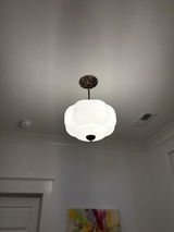 Paloma review photo