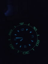 V J. review photo