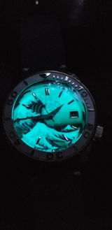 Evan F. review photo