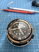 Marc review photo